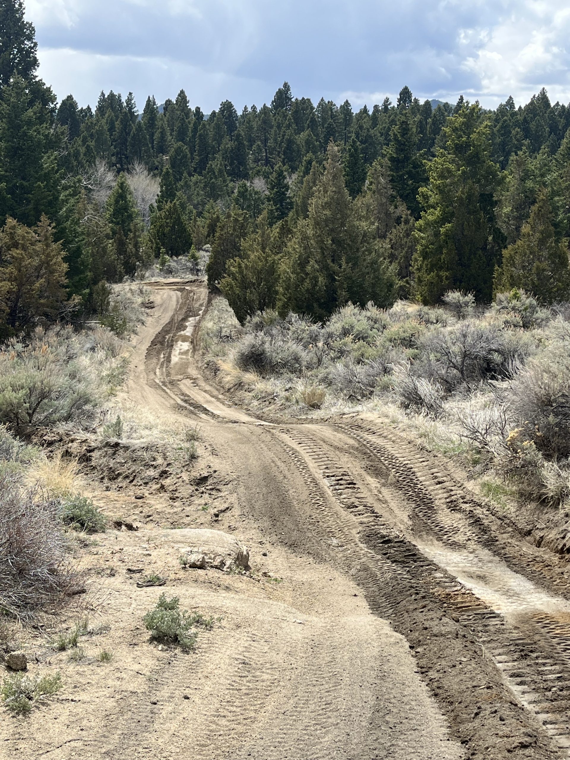 2025 Trail Maintenance started