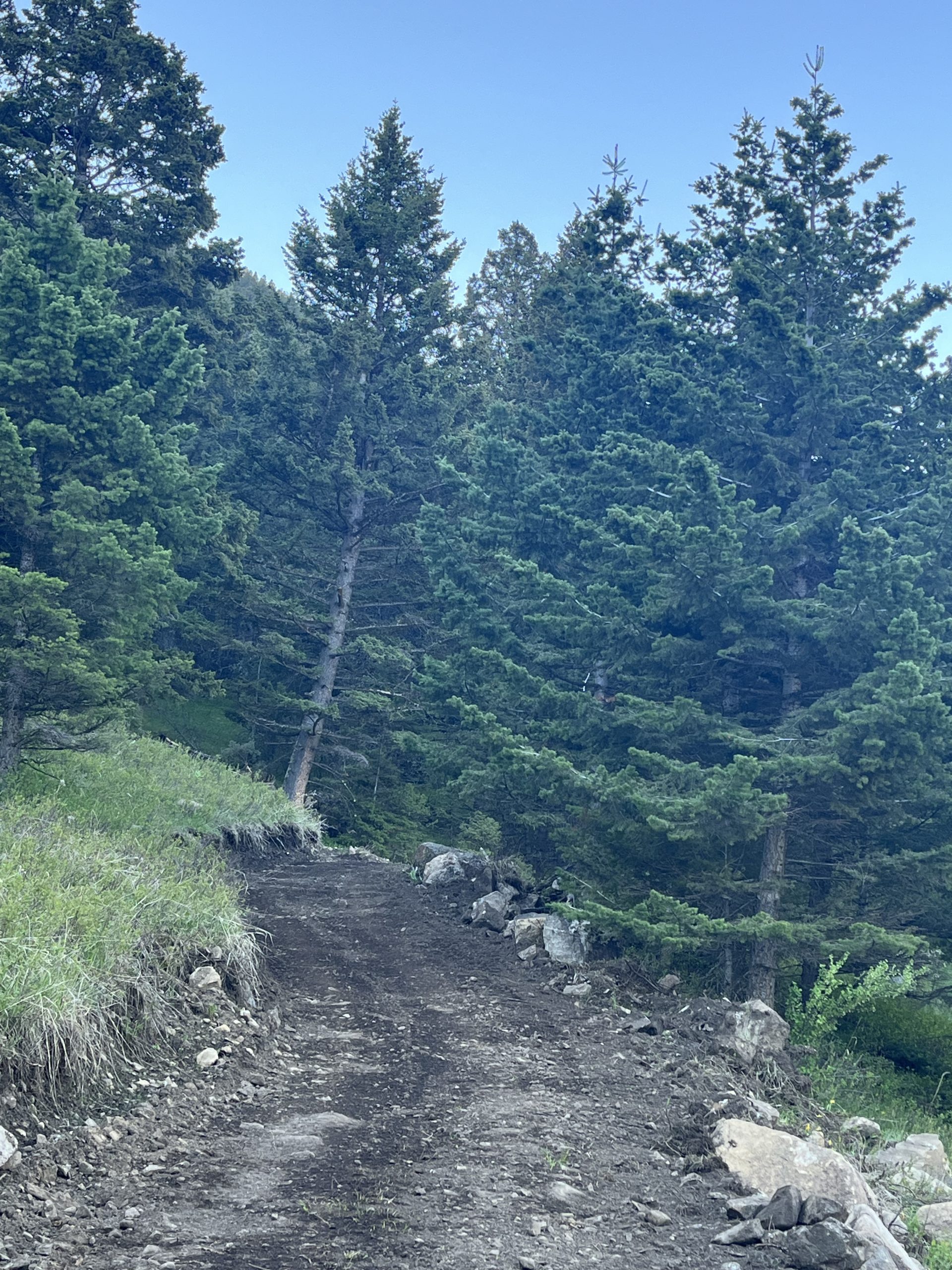 USFS Butte RD continued maintenance