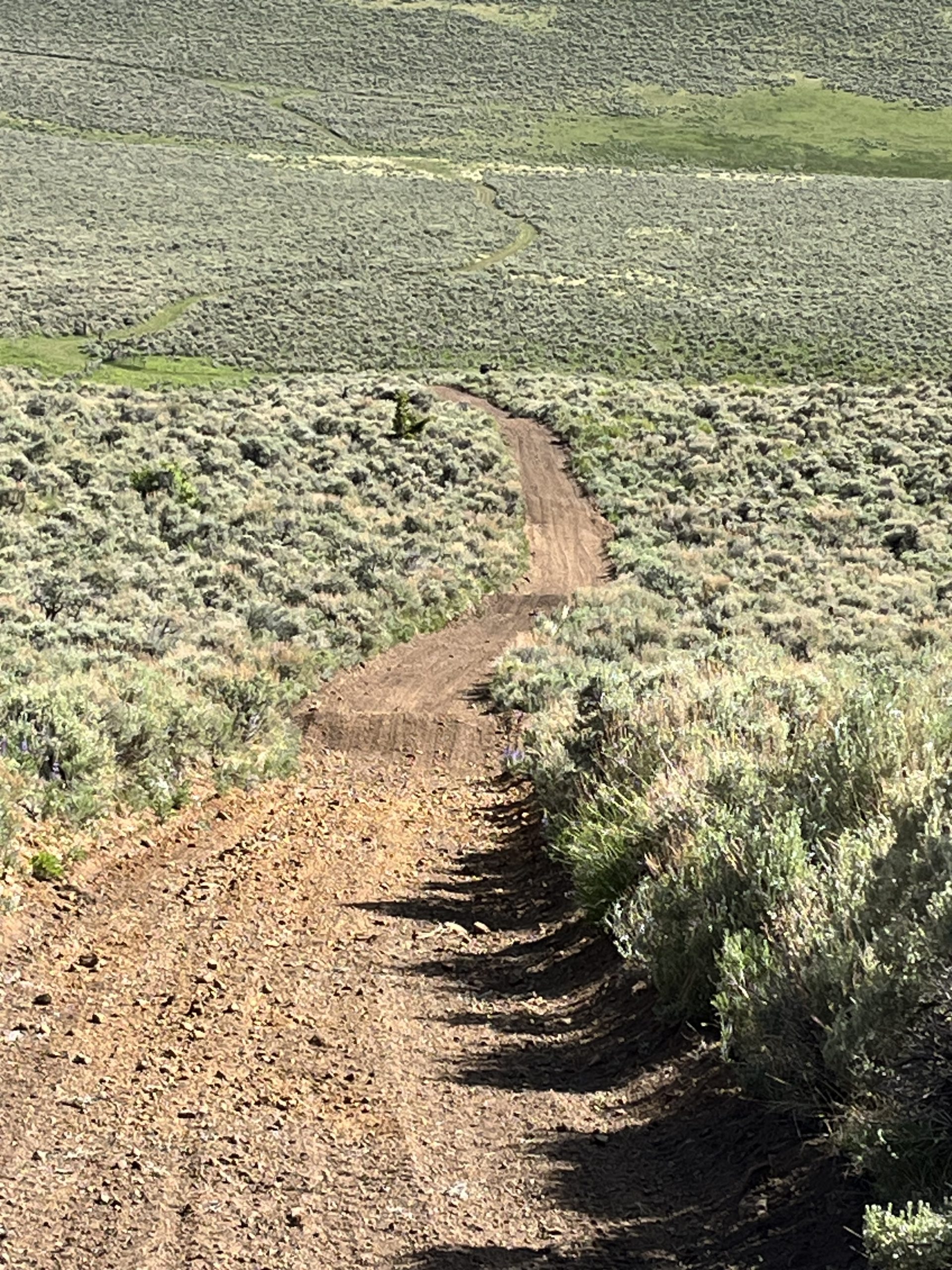 Dillon area trail repairs