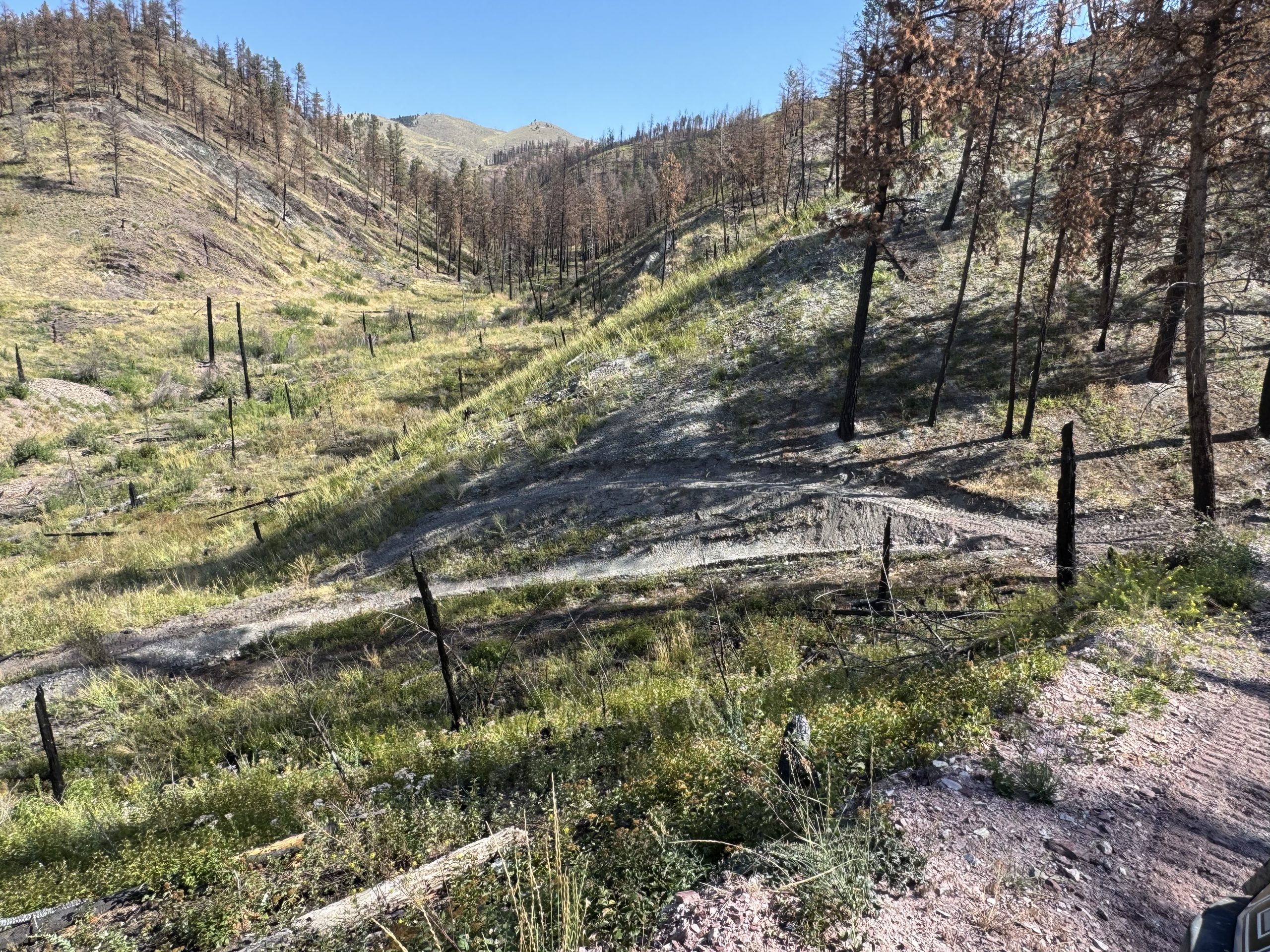 Helena area trail maintenance