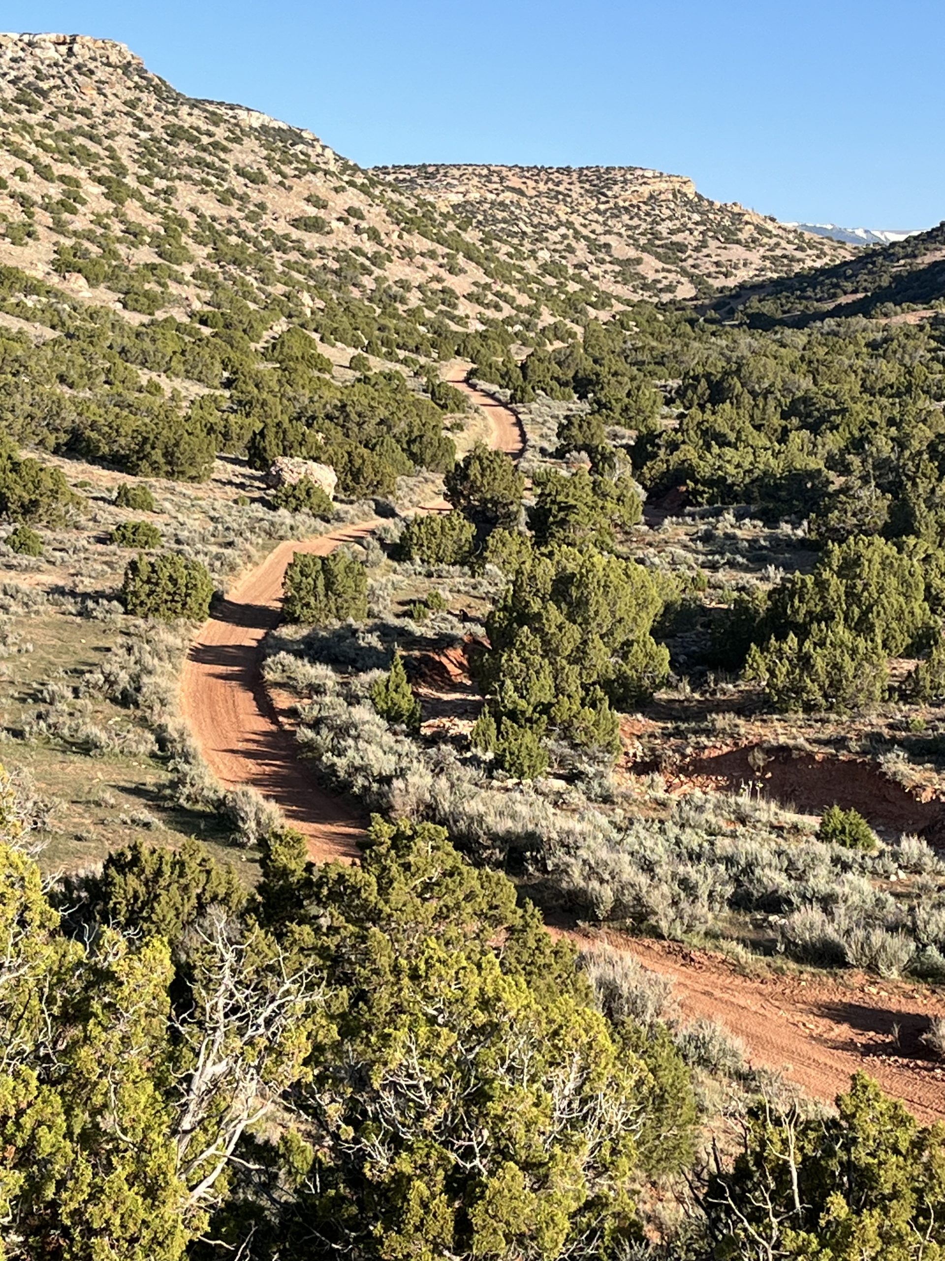 Trail Maintenance – BLM Billings