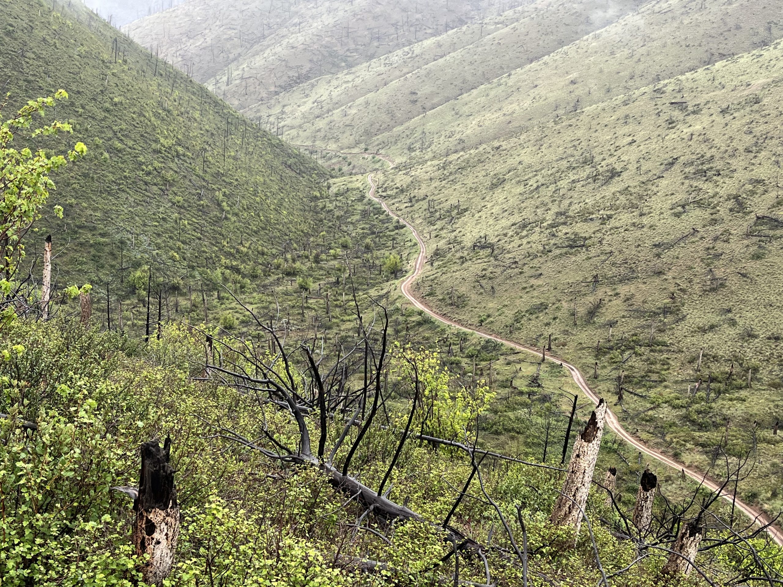 Trails in the Big Belts
