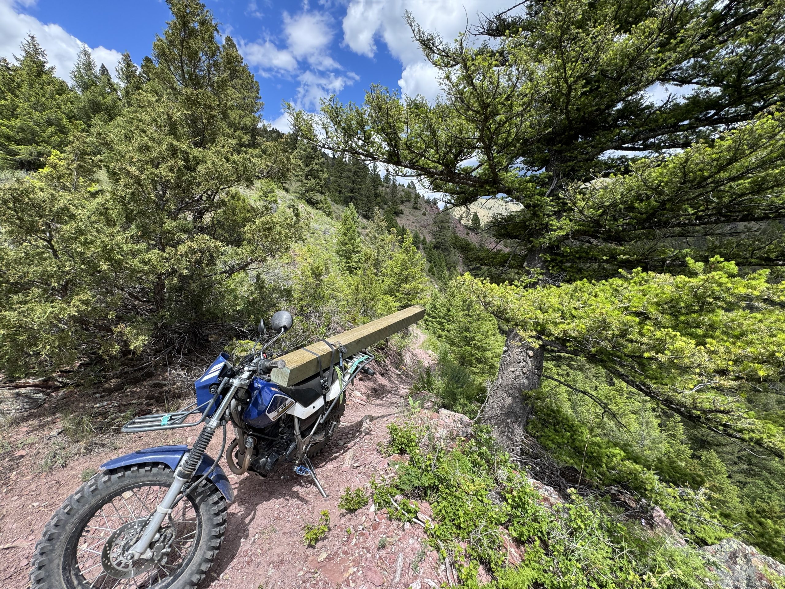 Singletrack in the Big Belts
