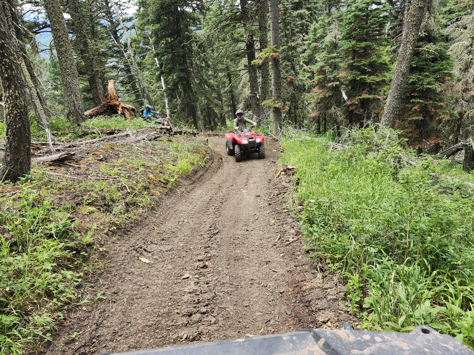 Bozeman Ranger District trail maintenance