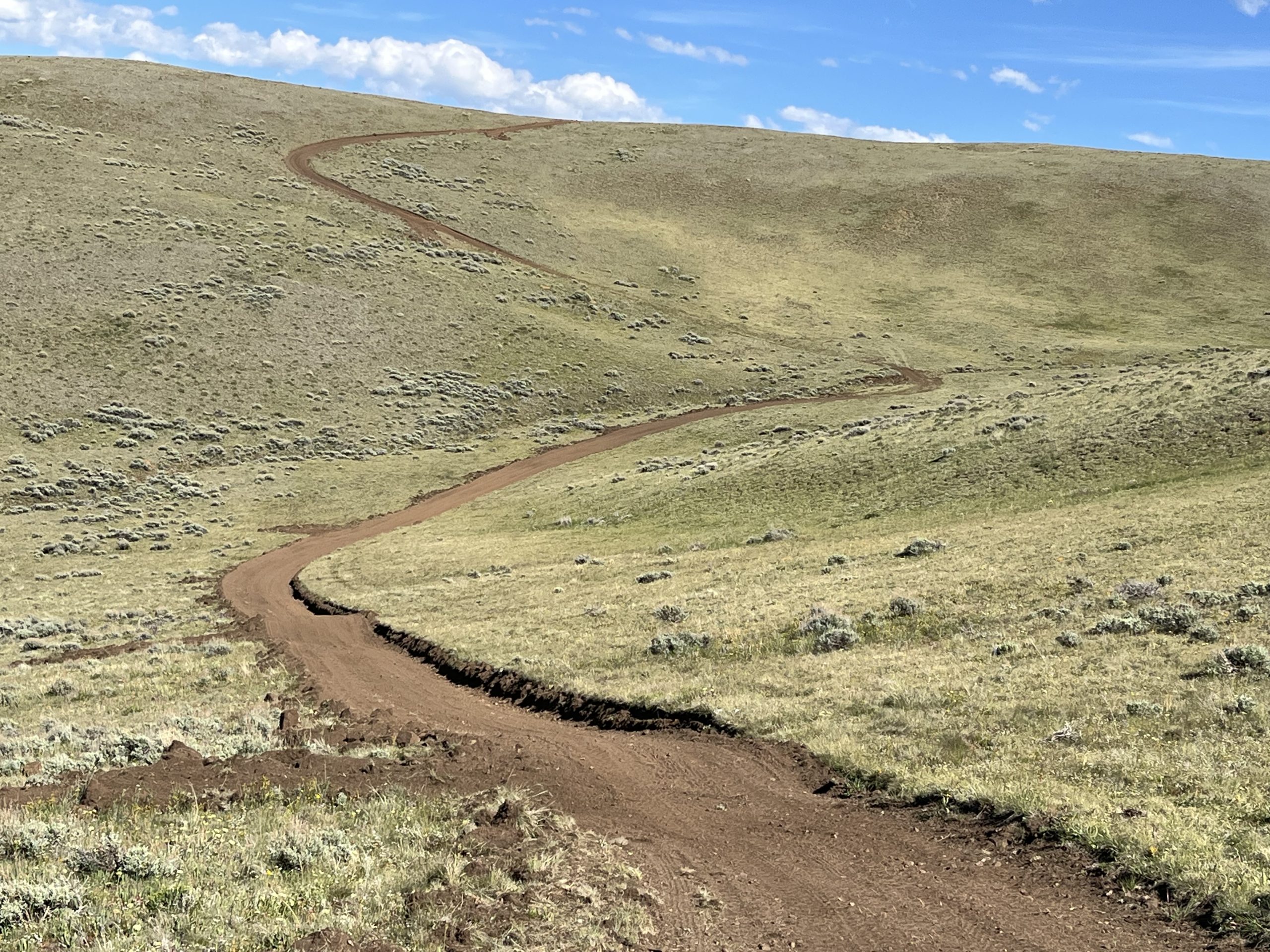 Dillon RD trail maintenance