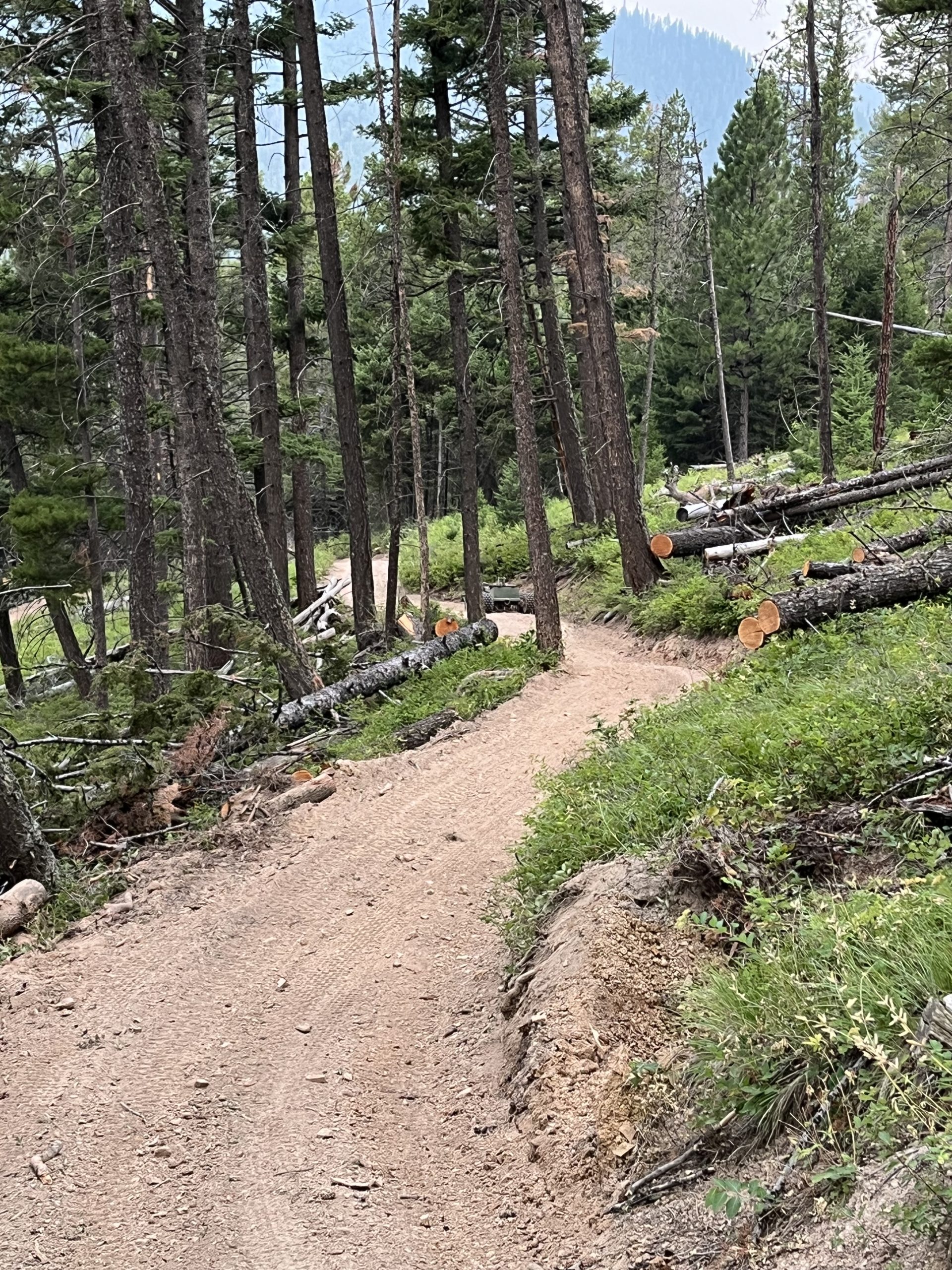 Lincoln area trails
