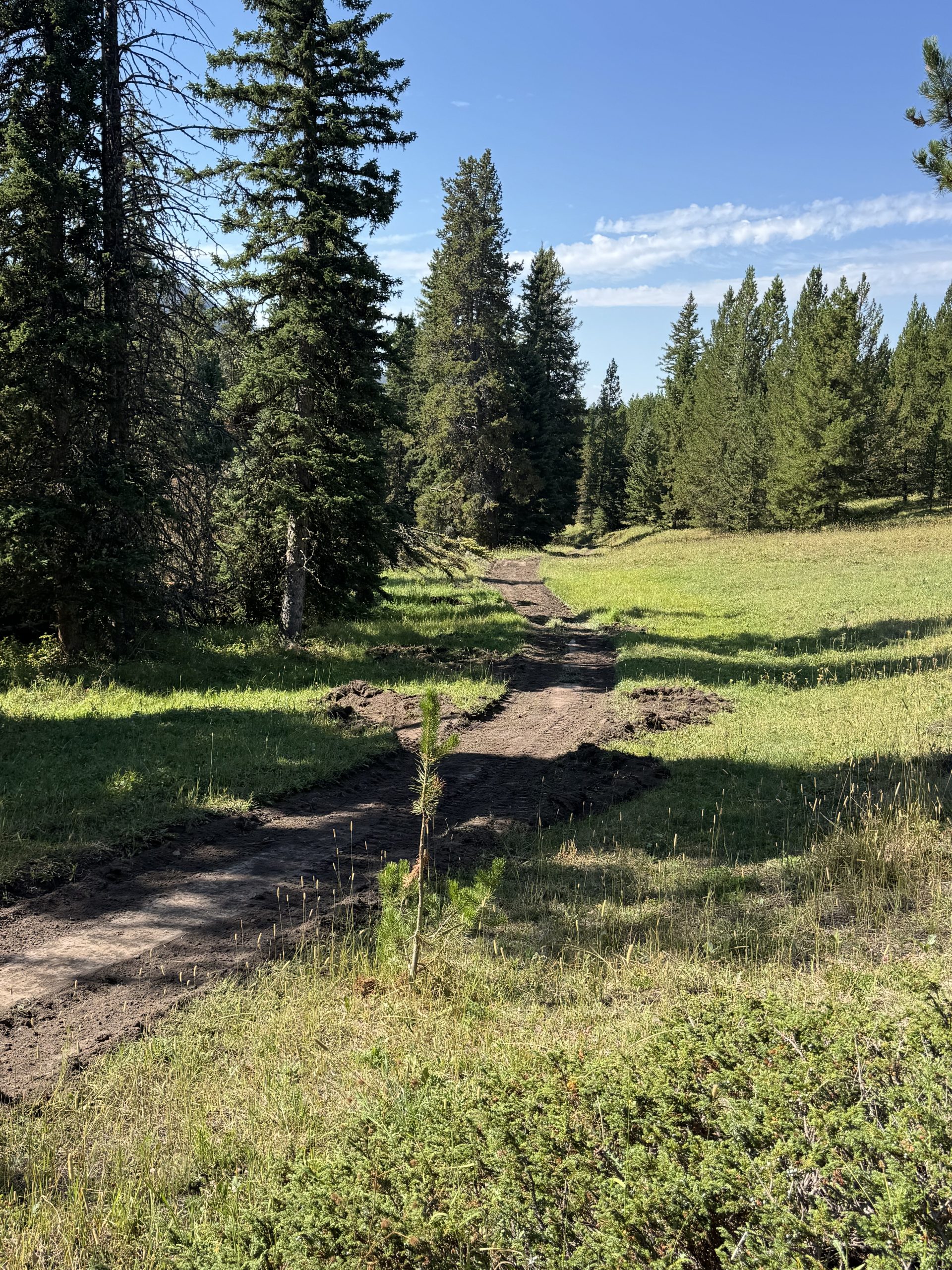 Yellowstone Ranger District trail maintenance